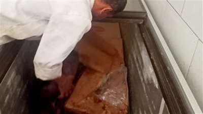 ضبط 650 كيلو دواجن ومفروم فاسدة في حملة مكبرة بالجيزة