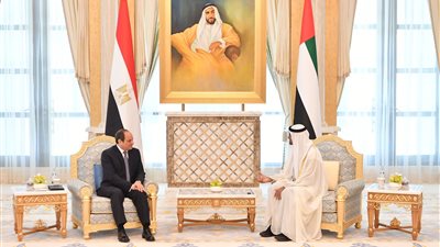  السيسي وبن زايد يؤكدان مواصلة العمل معًا من أجل التصدي للتدخلات الإقليمية