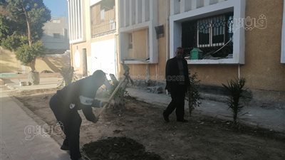 مدير مدرسة بقنا يشارك في زراعة وتطوير الفناء والحديقة | صور