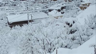 مقتل 61 شخصا في العاصفة الثلجية بالولايات المتحدة الأمريكية 