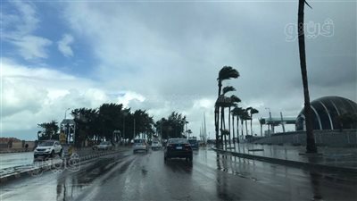 حالة الطقس غدا الاثنين 31 - 1 - 2022 فى الإسكندرية