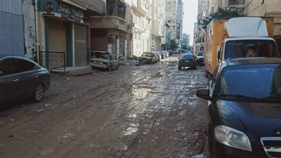 استقرار الأحوال الجوية وسطوع أشعة الشمس في الإسكندرية | فيديو 