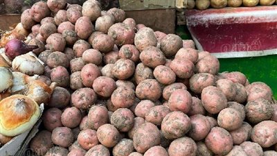 أسعار الخضروات اليوم الجمعة 28-1-2022 في أسواق الجملة