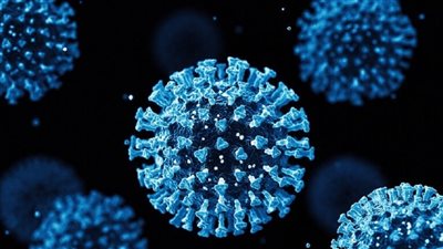 رعب عالمي جديد.. أول تعليق من الصحة العالمية على فيروس NeoCoV