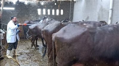  تنفيذ قوافل سكانية شاملة في البحيرة ضمن حياة كريمة 