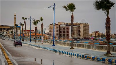 أمطار متقطعة وصقيع في مطروح | فيديو وصور