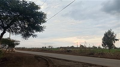 حالة الطقس غدا الأربعاء 2-2-2022 في الدقهلية