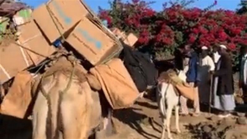 الجمل يحمل مساعدات