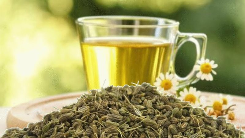 مشروب اليانسون، فيتو