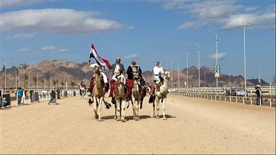 ختام سباق الهجن فى العيد الثاني لانطلاقة بشرم الشيخ | صور