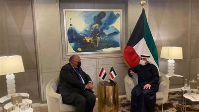 شكري يستهل زيارته إلى الكويت بلقاء وزير الخارجية