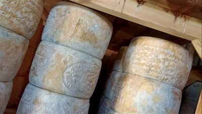 ضبط 9 أطنان جبن رومي و1.6 طن رنجة غير صالحة بالبحيرة