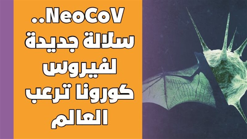 NeoCoV.. سلالة جديدة