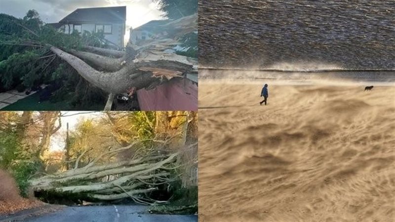  العاصفة مالك تضرب