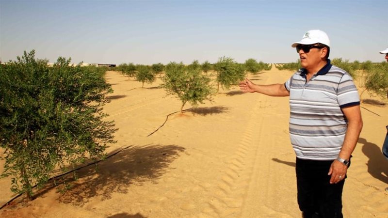 منطقة المغرة