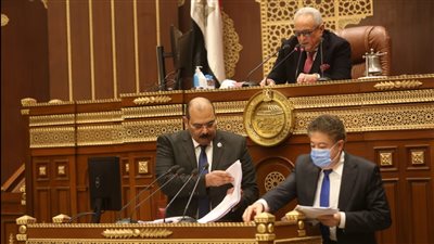 رفع جلسة الشيوخ بعد الموافقة على 152 مادة من قانون العمل