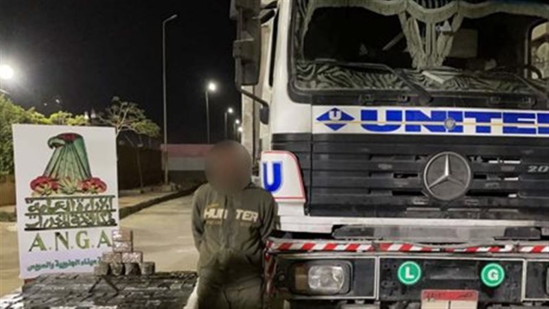 إحباط تهريب 300 طربة