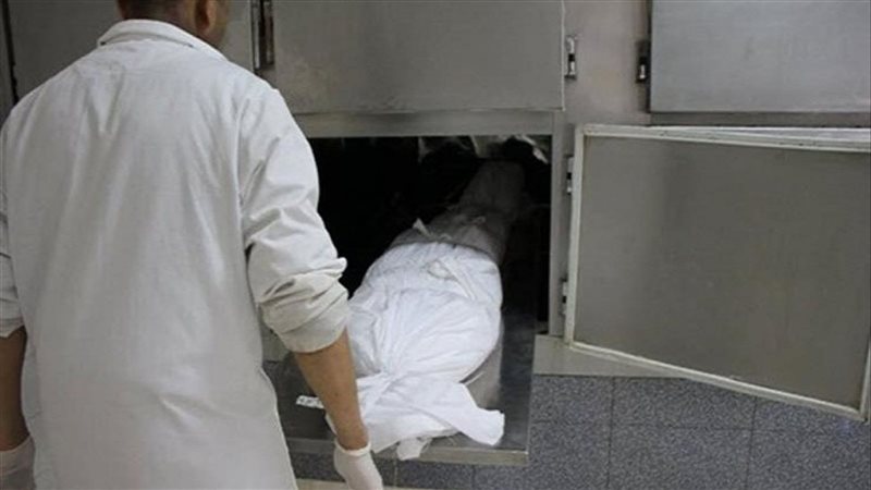 فحص بلاغات المتغيبين