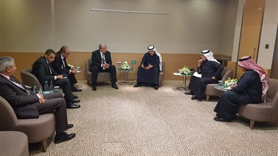 وزير الزراعة يبحث مع نظيره السعودي سبل زيادة التعاون الزراعي بين البلدين 