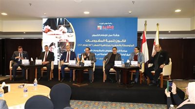  تنمية المشروعات: تيسير إجراءات استخراج التراخيص للمشروعات الصغيرة 