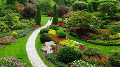 تفسير حلم الحديقة في المنام وعلاقته بالسعادة والاستقرار والأخبار المفرحة 