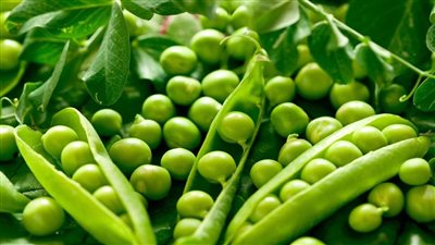  هذا الطعام مفيد.. لكنه خطر في حالة واحدة