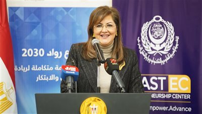 التخطيط تطلق أول مظلة عامة لمجالس المهارات القطاعية في مصر