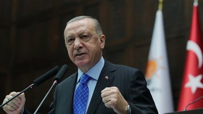 أردوغان: نبذل ما بوسعنا لعقد قمة بين بوتين وزيلينسكي 