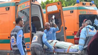 عمليات جراحية و100 غرزة.. تلميذ ابتدائي يمزق جسد زميله بـ كتر أثناء الامتحان بالإسكندرية | صور