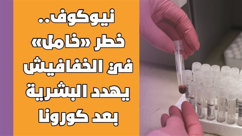 نيوكوف