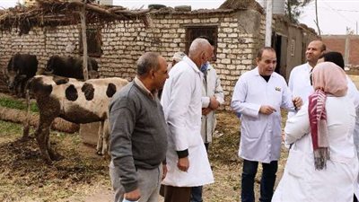 بيطري الشرقية: تحصين 34 ألف رأس ماشية وترقيم 1376 للوقاية من الجلد العقدي 