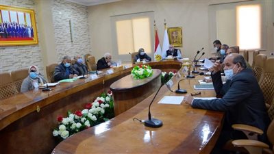 زيادة منافذ السلع الغذائية المخفضة وتفعيل الجمعيات الفئوية بالوادي الجديد