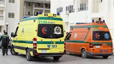 القصة الكاملة لمقتل زوج على يد زوجته وإصابة والديه بالإسماعيلية.. المتهمة سددت للمجني عليه عدة طعنات بسلاح أبيض أودت بحياته.. وتحريات الأجهزة الأمنية تكشف التفاصيل