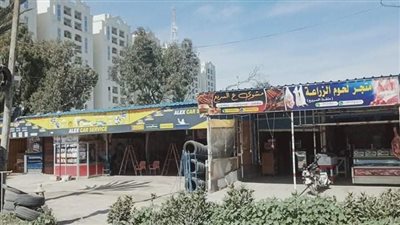 سطوع أشعة الشمس واستقرار للأحوال الجوية في الإسكندرية | صور