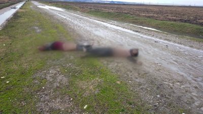 تجمدوا من البرد.. تركيا تعلن وفاة 12 مهاجرًا عند حدود اليونان