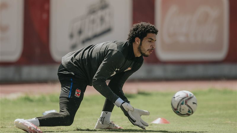 مصطفى شوبير 