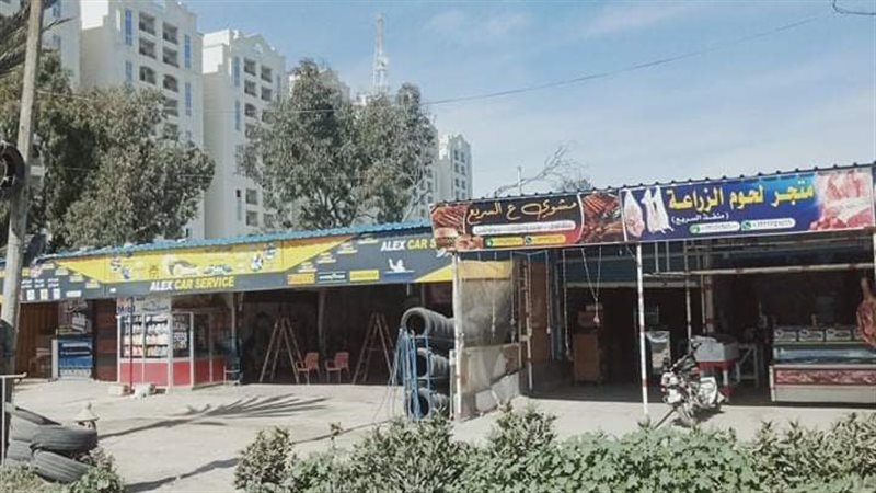 الإسكندرية