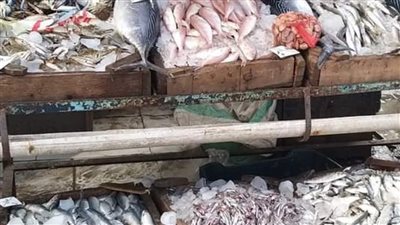  أسعار الأسماك اليوم الخميس 3-2-2022 في الدقهلية