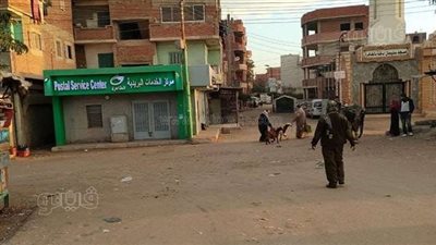 بعد تقرير فيتو.. نقل سوق الطاهرة بالشرقية إلى أرض فضاء داخل القرية | صور 