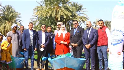  تسليم 40 منزلا بعد إعادة إعمارها بأسوان ضمن حياة كريمة| صور