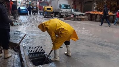 انتشار سيارات الصرف الصحي في ميادين وشوارع الإسكندرية