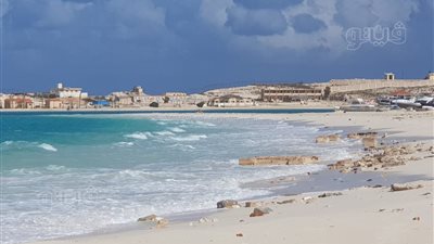 رياح نشطة بشكل كبير مع طقس مشمس على مرسى مطروح| فيديو