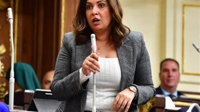 بعد ردها على صورة الكاميرون.. من هي النائبة أميرة العادلي