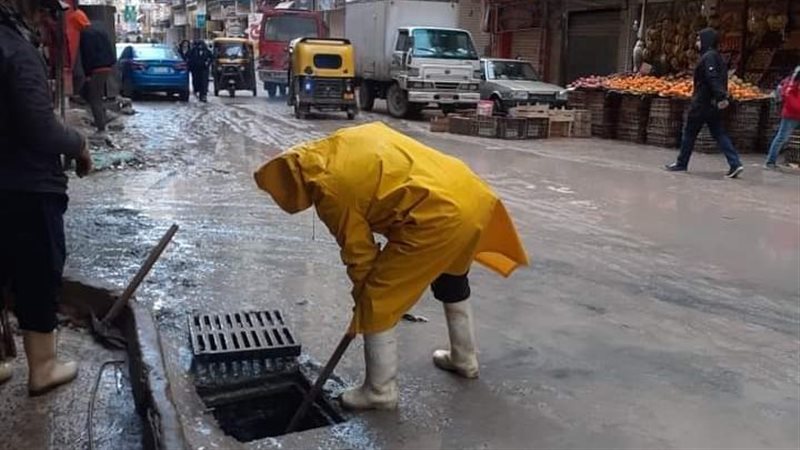 الاسكندريه