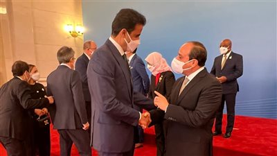  السيسي يجري مباحثات مع أمير قطر وولي عهد أبو ظبي ورئيس أوزبكستان وسكرتير عام الأمم المتحدة | صور