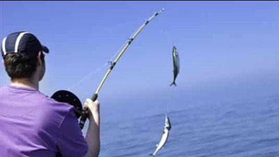 تفسير رؤية السمك في المنام وعلاقته بذهاب النعمة وزوالها