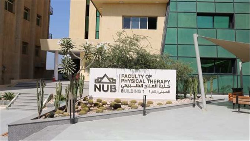 جامعة النهضة 