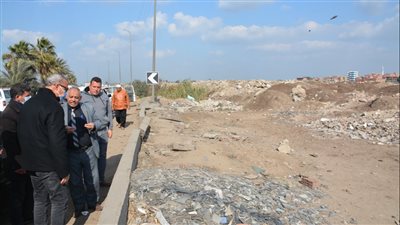 إعادة زراعة 32 قطعة أرض تم تبويرها بالطريق الزراعي بالقليوبية 