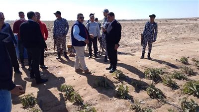 استرداد 101 فدان من أملاك الدولة بالمنيا 