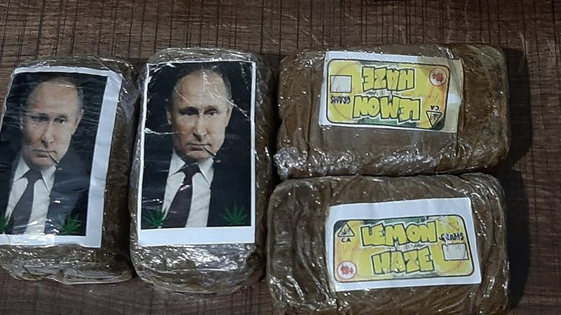 حشيش بوتين